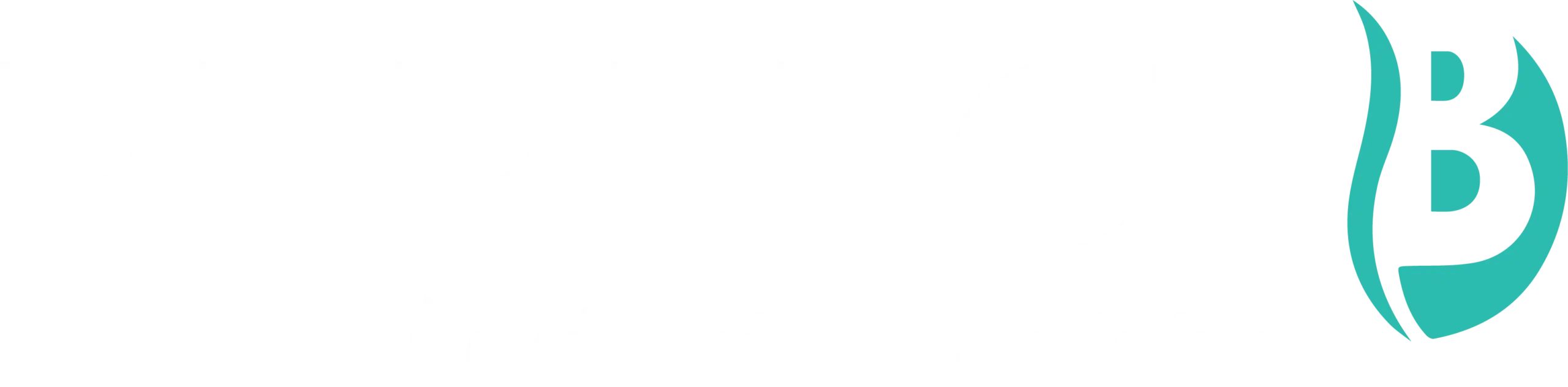 perfect b logo white