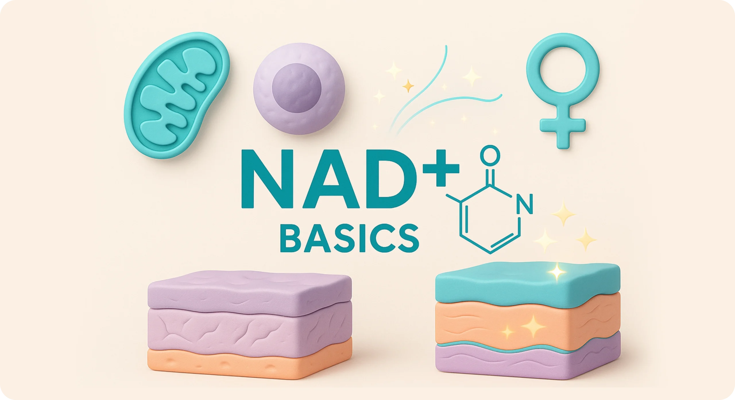 Perfect B - Blog -NAD Therapy for Women_ A Guide to Fertility, Benefits, and Injections- Image 3