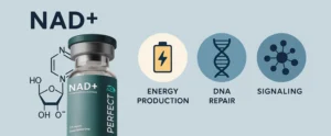 Perfect B - Blog -NAD Therapy for Women_ A Guide to Fertility, Benefits, and Injections- portrait