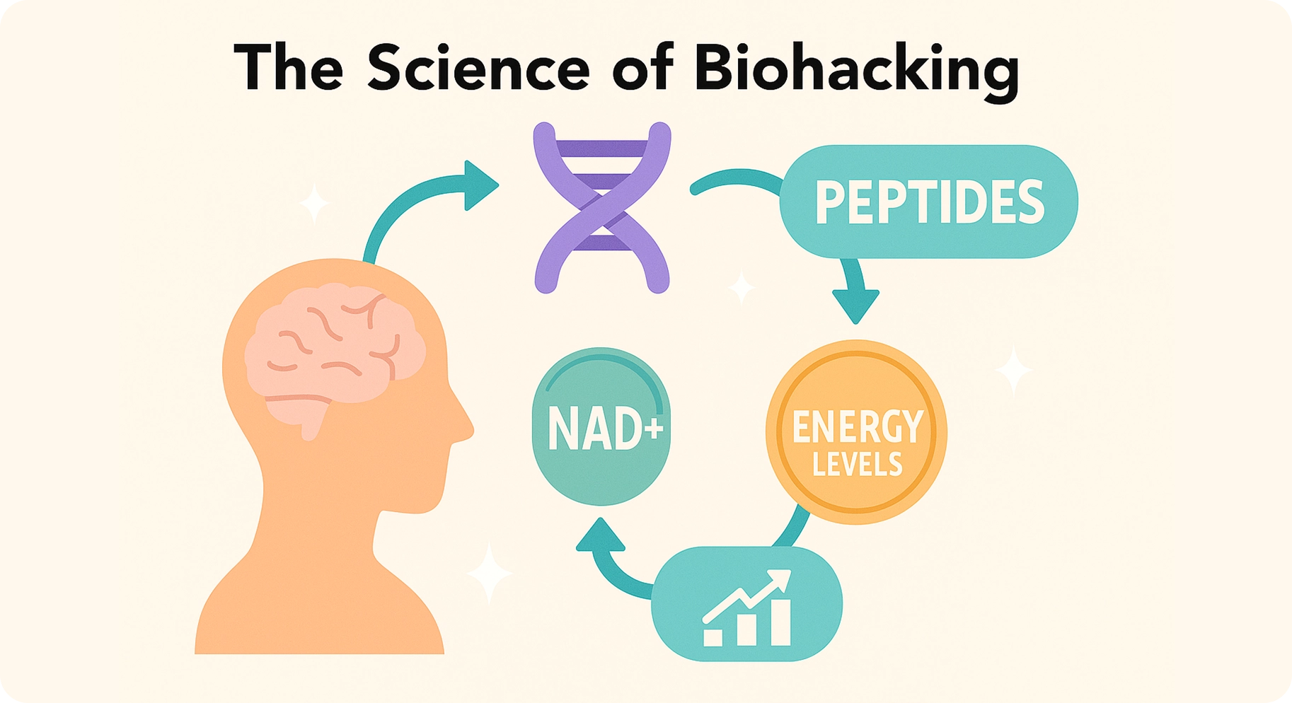 Perfect-B-Blog-NAD-Peptides-Therapy-Image-16